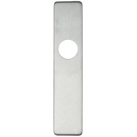 ZCSIP Handle Cover Plate Latch 50 x 220mm 304 SS